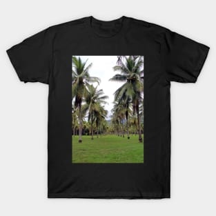 Coconut grove at Thala Beach nature reserve, Queensland T-Shirt